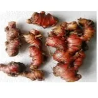 Red Ginger
