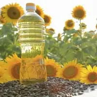 Refined Sunflower Oil