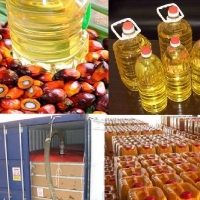 Refined Palm Olein Oil