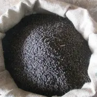 Black Pepper