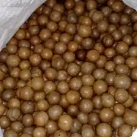 Macadamia Nuts