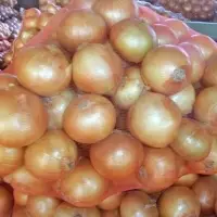 Onion