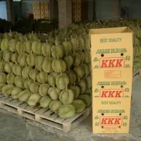 Fresh Durian Fruits