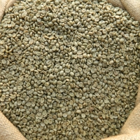 Arabica and Robusta Coffee Beans