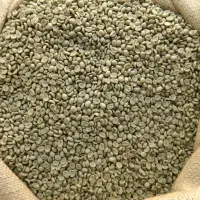 Arabica and Robusta Coffee Beans