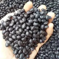 Black Beans