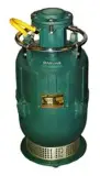 Jumbo drain pumps