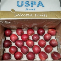 Apples