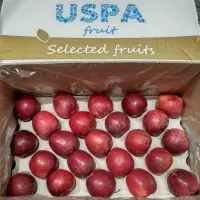Apples