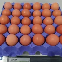 Brown Eggs Origin Ukraine