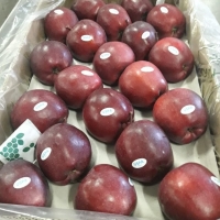 Red Apple Delicious Origin Ukraine