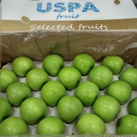 Granny Smith Apple Origin Ukraine