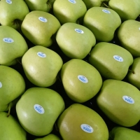 Golden Delicious Apple  Origin Ukraine