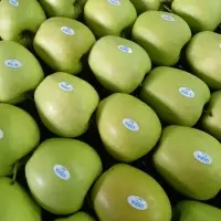 Golden Delicious Apple  Origin Ukraine