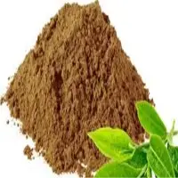 Instant Tea Premix