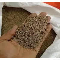 Cumin Seeds