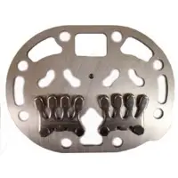 Valve plate assembly