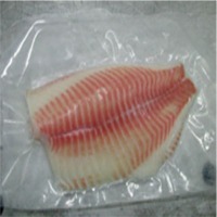 Illex Squid