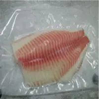 Illex Squid