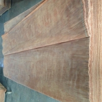 Gurjan Face Veneer