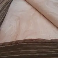 Okoume Face Veneer