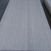 Recon Face Veneer