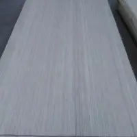 Recon Face Veneer
