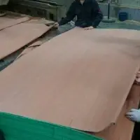 Recon Face Veneer (Gurjan Colour)