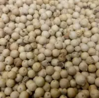 White Pepper