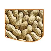 Peanuts In Shell