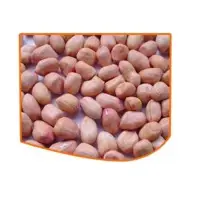 Peanut Kernels