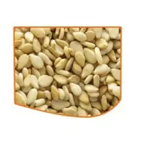 White Natural Sesame Seed