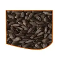Oil Seeds