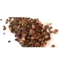 Roasted Chicory Cubes