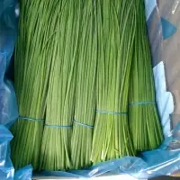 Chives