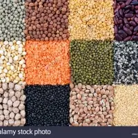 Pulses And Lentils