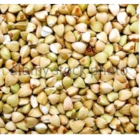 Buckwheat
