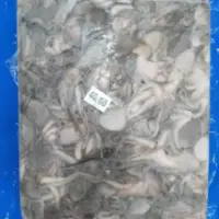 Frozen Baby Octopus in Block