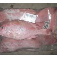 Frozen Wholeround Red Snapper