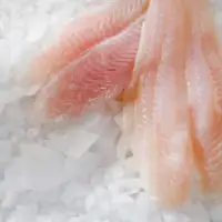 Frozen Red Snapper Fillet