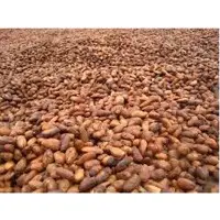Cocoa Beans