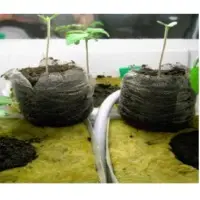 Coco Peat Seedling Cubes