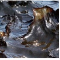 Fuel Oil