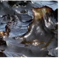 Fuel Oil