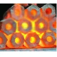 Coconut Charcoal Briquttes Extruders
