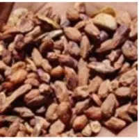 Neem Seed Crushed