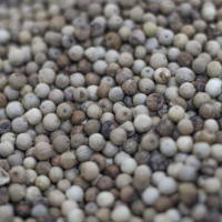 White Pepper
