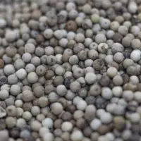 White Pepper