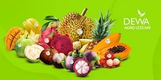 Cv. Dewa Agro Lestari company image 1