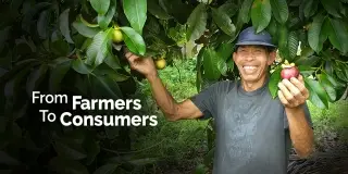 Cv. Dewa Agro Lestari company image 2